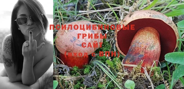 твердый Алексин