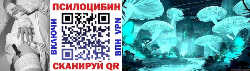 Галлюциногенные грибы Cubensis  где купить наркотик  Тулун 